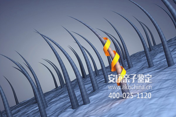 潍坊亲子鉴定